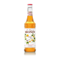 Monin Syrup Passion Fruit 0.7L