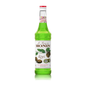 Monin Syrup Kiwi 0.7L