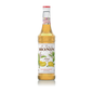Monin Syrup Mango 0.7L